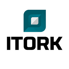 I-TORK CONTROLS