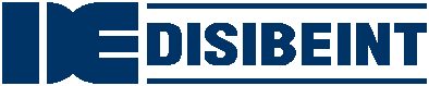 Disibeint Electronic SL