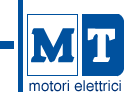 M.T. Motori Elettrici