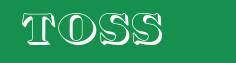 TOSS GmbH
