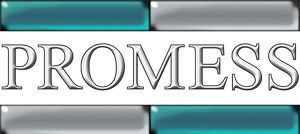 Promess Incorporated